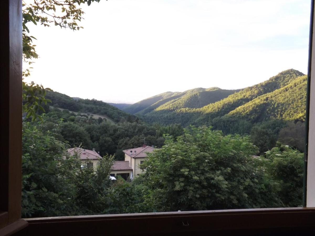 Mugello Nido d'amore in mezzo al verde Polcanto Esterno foto