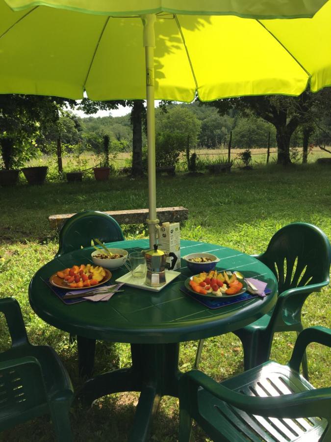 Mugello Nido d'amore in mezzo al verde Polcanto Esterno foto