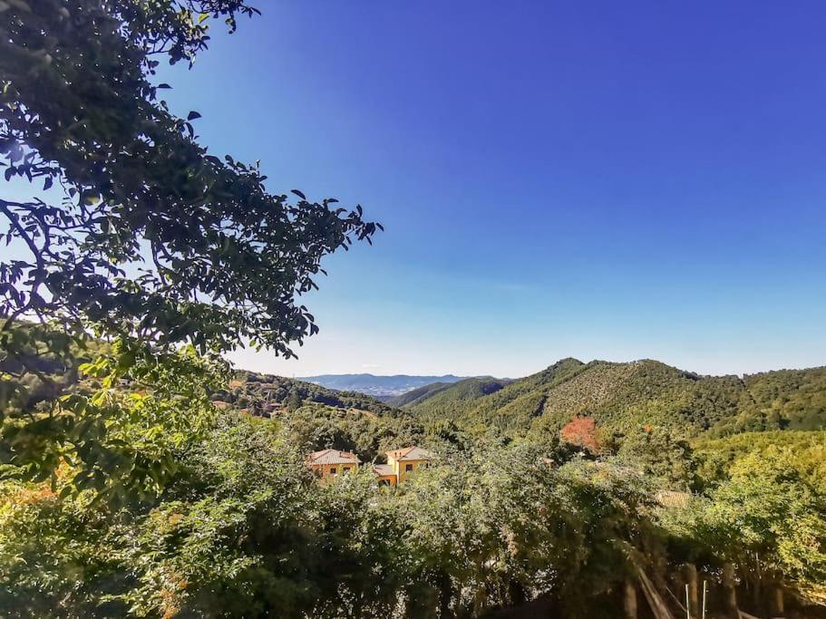 Mugello Nido d'amore in mezzo al verde Polcanto Esterno foto