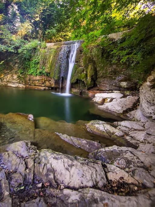 Mugello Nido d'amore in mezzo al verde Polcanto Esterno foto