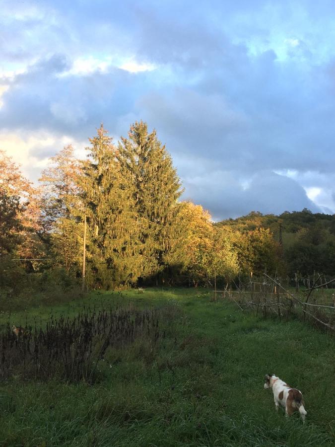Mugello Nido d'amore in mezzo al verde Polcanto Esterno foto