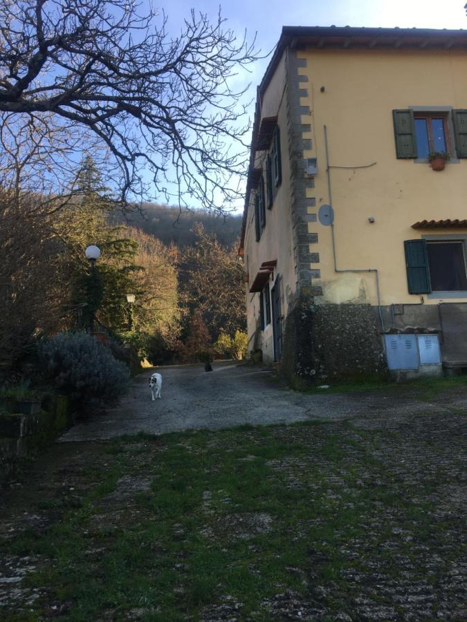 Mugello Nido d'amore in mezzo al verde Polcanto Esterno foto