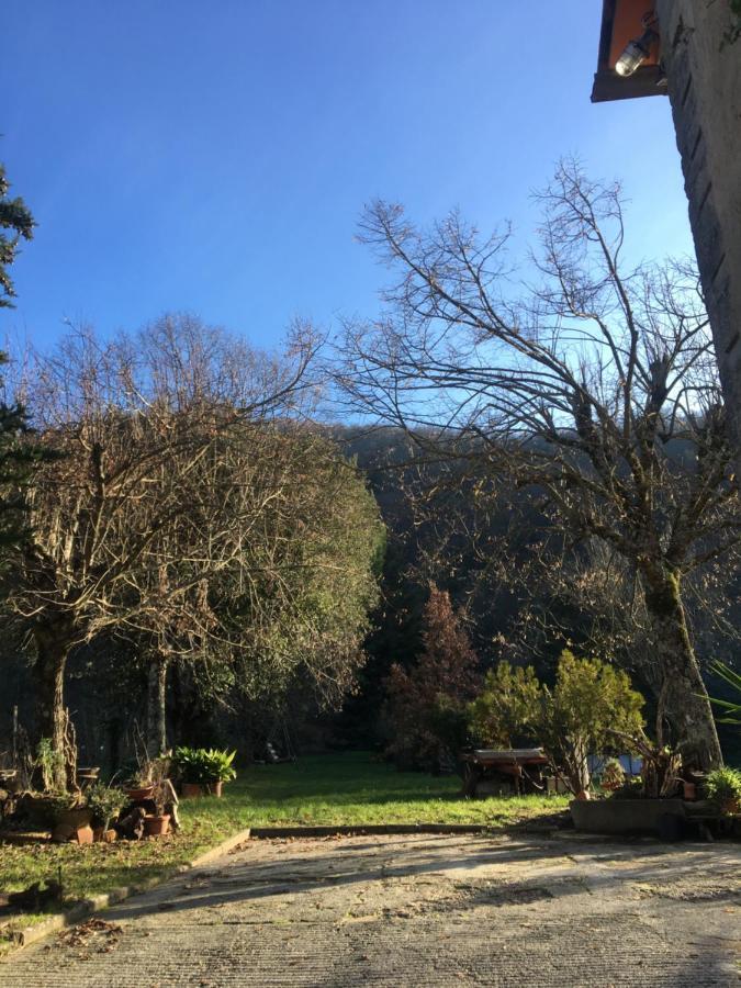 Mugello Nido d'amore in mezzo al verde Polcanto Esterno foto