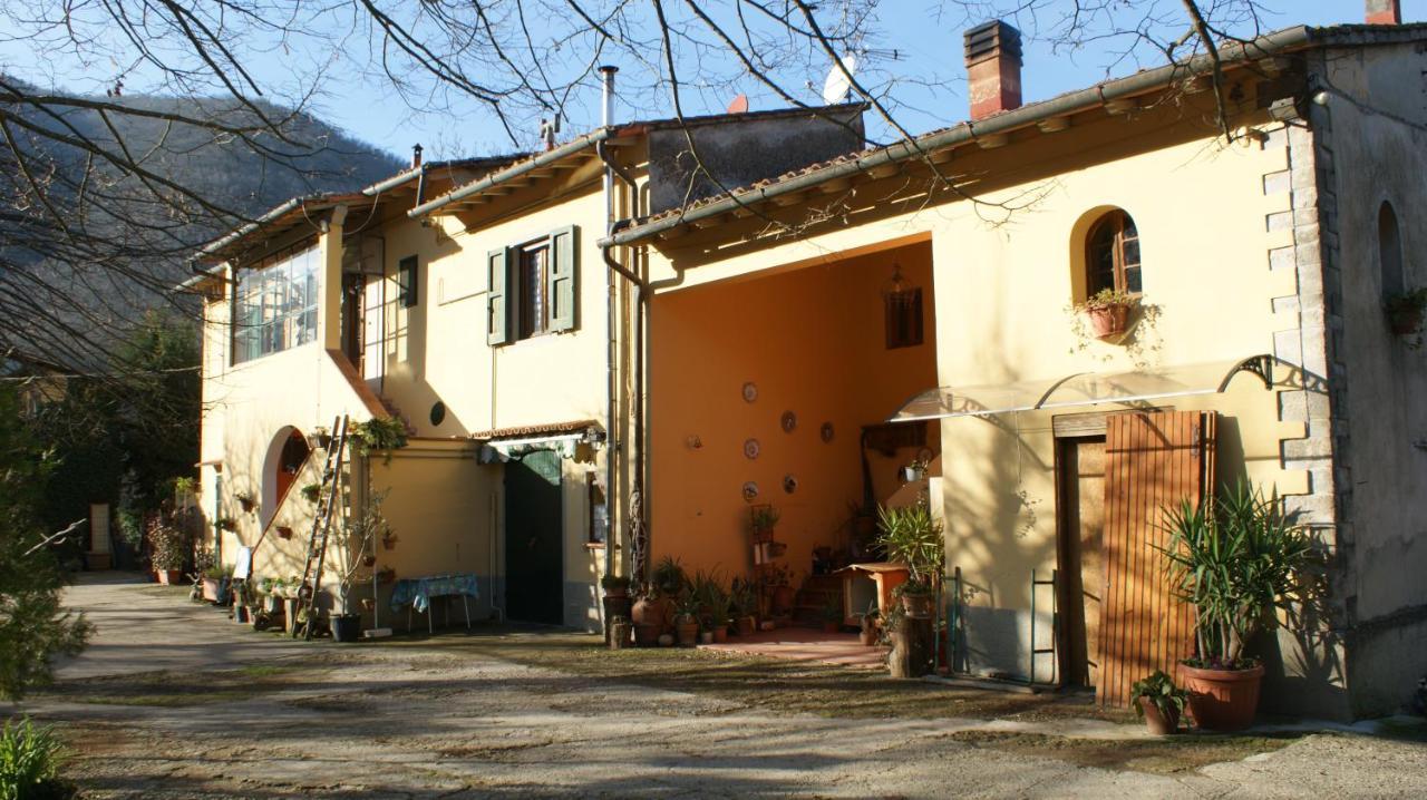 Mugello Nido d'amore in mezzo al verde Polcanto Esterno foto