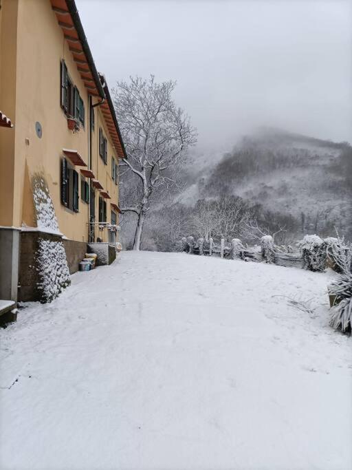 Mugello Nido d'amore in mezzo al verde Polcanto Esterno foto