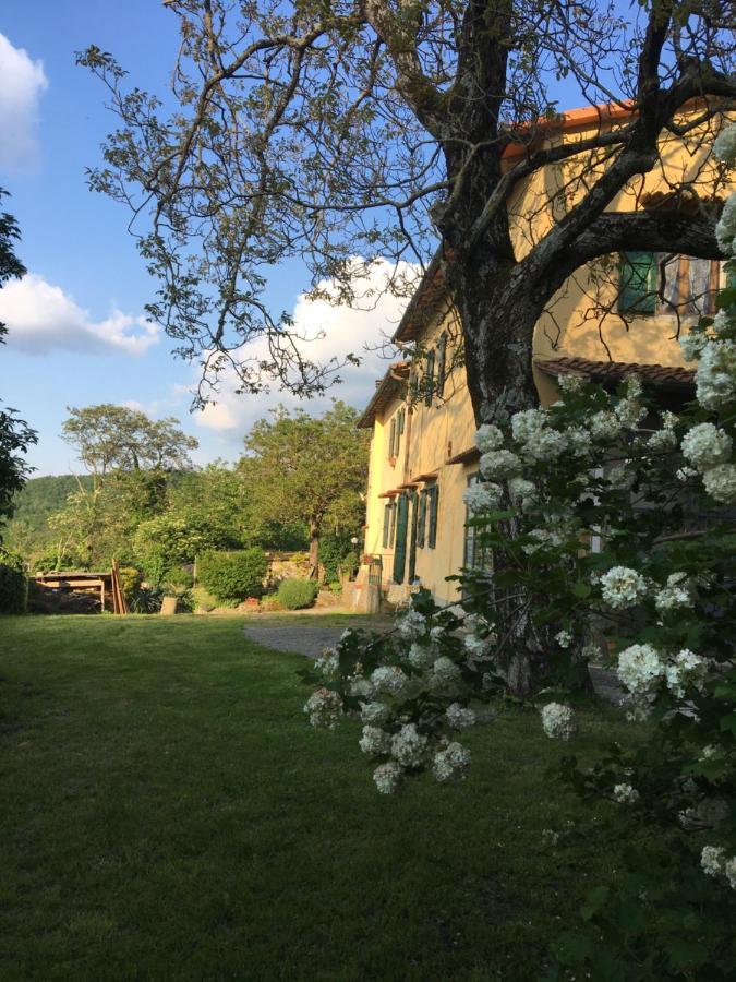 Mugello Nido d'amore in mezzo al verde Polcanto Esterno foto